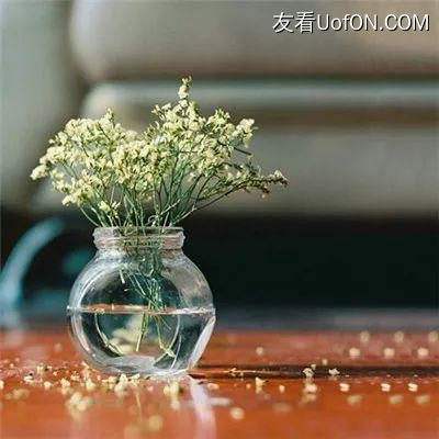 碧蓝航线wiki